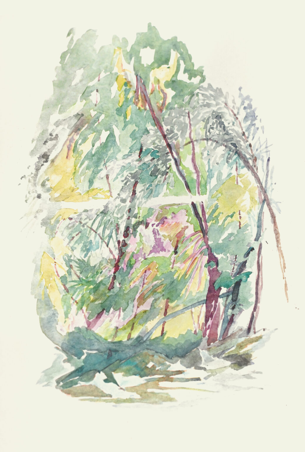 Toma Dutter, Forêts fugitives, esquisses  37 x 25 cm Aquarelle sur papier Carnet de résidence  Domaine la Dournie  2026